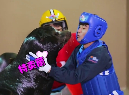 海洋王国新旅程