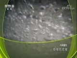 地理中国 《地理中国》 20180508 奇怪的河湾