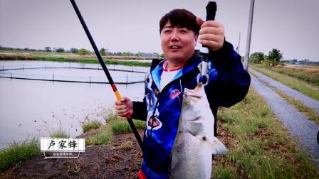 猎鱼传说 回顾征战四海 双宝独家记忆特别版