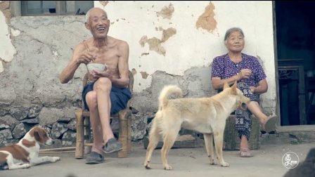 二更视频 用尽余生 只为守护你 817