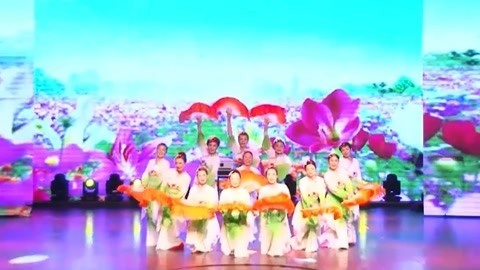 广场舞 《在希望的田野上》