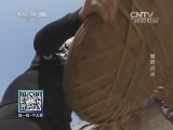 我爱发明 《我爱发明》 20140515 慧眼识米