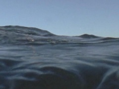 地球脉动 第一季（Planet Earth I）第11集：无垠深海