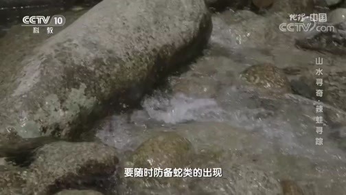 地理中国 《地理·中国》 20200607 山水寻奇·“辣蛙”寻踪