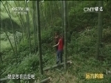 远方的家 《远方的家》 20150201 北纬30°·中国行（44）秀美崇阳 雄奇九宫