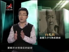 经典传奇 喀纳斯湖怪谜影