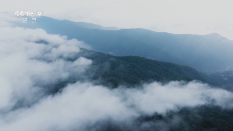 荒野之上第三季 《荒野之上 第三季》 第3集 一个人一座山