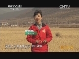 远方的家 江河万里行 第166集 鸭绿江 浑江河畔的东北风情 20141217 《远方的家》