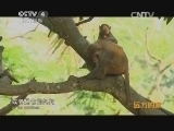远方的家 江河万里行 第66集 陵水河 椰风海韵陵水河 20140730《远方的家》