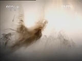 生财有道 [生财有道]密林中的神秘财富(20120820)