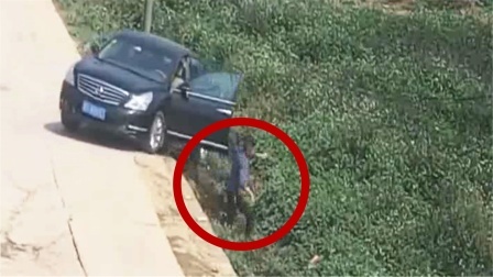 男子操作失误轿车“倒车入坑” 自己也被迫跳下