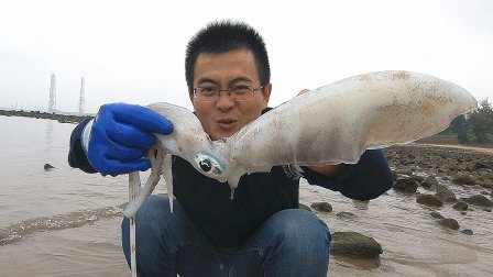 思乡渔夫 大风大浪后去海滩, 有家伙被冲上来