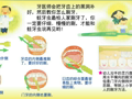 科学馆 蛀牙再见