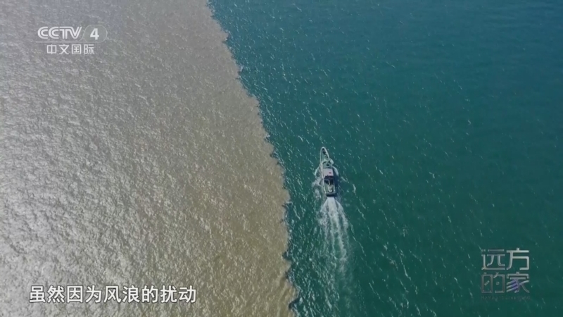 远方的家 《远方的家》 20240628 齐鲁那片蓝 蔚蓝之境 生命家园