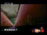 读书 故宫秘境：顺贞门行刺 子午书简20101025