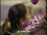 天网 天网 2010年 第28期