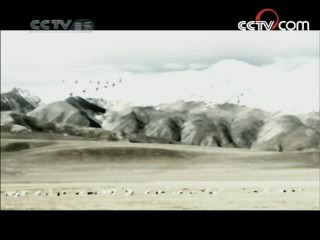民歌&middot;中国 民歌·中国 2008年 第109期