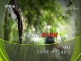 地理中国 《地理中国》 20171114 天坑奇观·佛顶山谜坑（上）