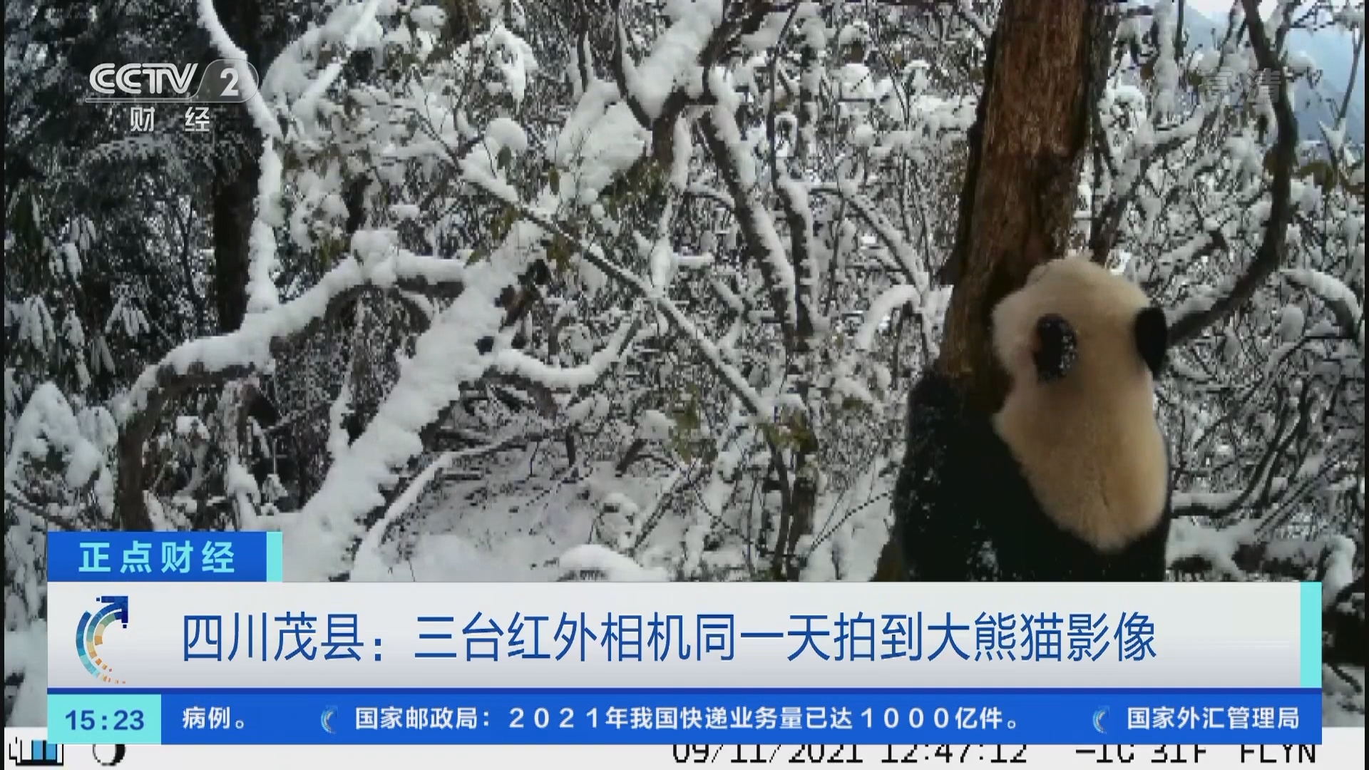 《正点财经》 20211208 15:00