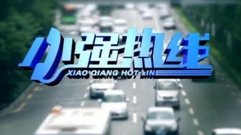小强热线 小强热线20141209