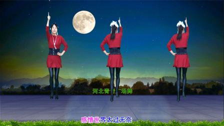 流行DJ广场舞及教学 第三季 最新动感广场舞《真情不一定换到真爱》64步演示分解