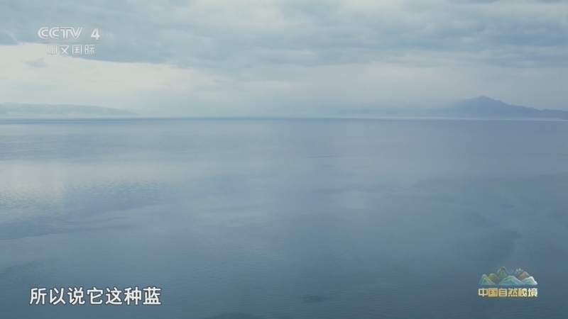 《远方的家》 20260518 中国自然秘境 天山深处 生命绿洲