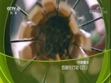 走近科学 《走近科学》 20180404 低碳在行动（四）