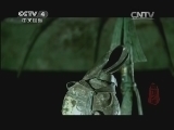 《镇馆之宝》 20131228 第七集 《秦始皇陵铜车马》