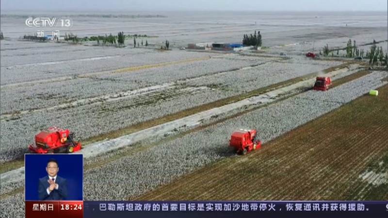 共同关注 《共同关注》 20231029