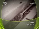地理中国 《地理中国》 20170513 洞庭湖寻奇