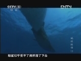 魅力纪录（CCTV-1综合频道） 《魅力纪录》 20121119 地球脉动 第十一集 无垠深海