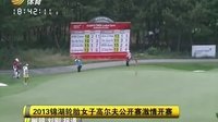 车行天下 2015 车行天下 130710