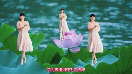 背面广场舞《语花蝶》蝶恋花，歌醉舞美