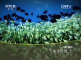地理中国 《地理中国》 20150922 庙湾迷岛（上）
