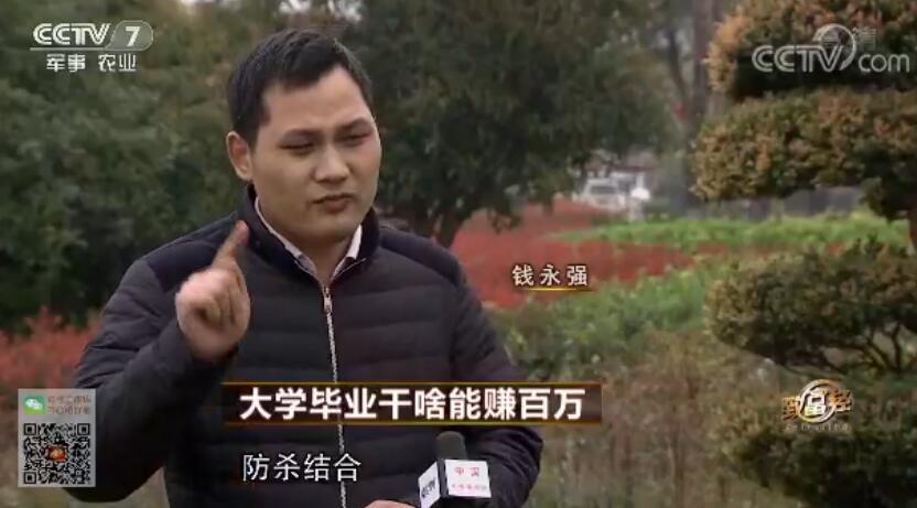 致富经 [致富经]大学毕业干啥能赚百万 20180105