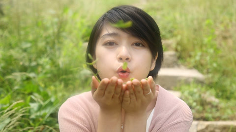 觅食迹 坐拥一座山 吃遍山间菜
