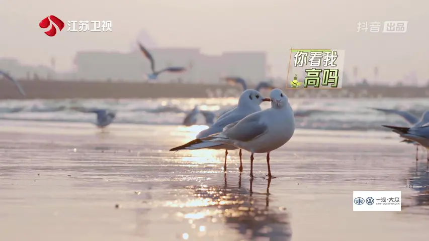 《此刻，向远方》第8期