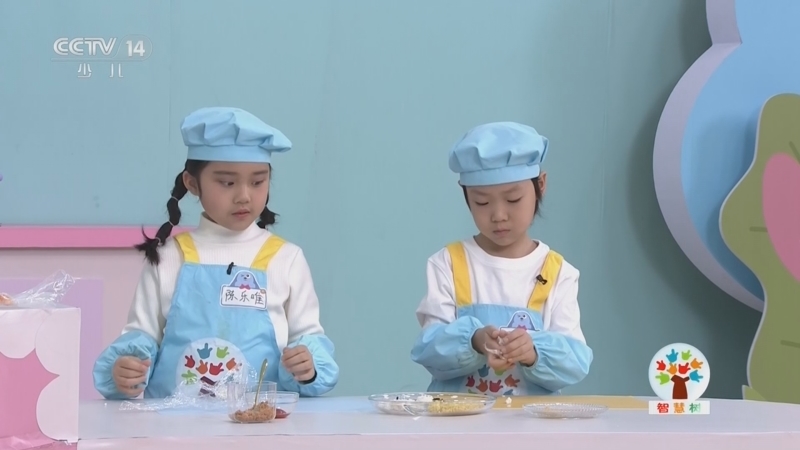 《智慧树》 20260319