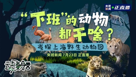 “下班”的动物都干啥？夜探上海野生动物园