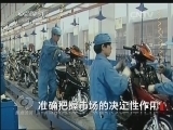 焦点访谈 《焦点访谈》 20131203 准确把握市场的决定性作用