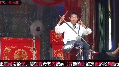 河南坠子 河南坠子《罗成算卦》