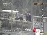 今日说法 《今日说法》 20150428 大山深处的枪声