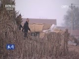 天网 《天网》 20170223 “好友”之约