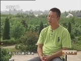 生财有道 [生财有道]秦家小鸡的幸福生活（20121113）