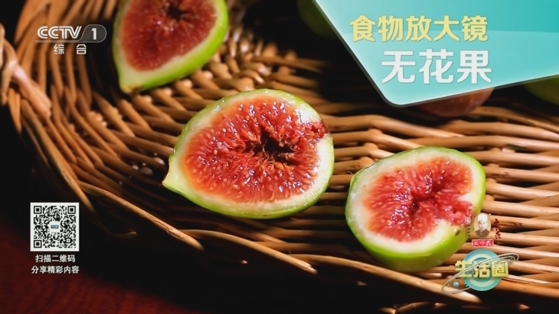 生活圈 《生活圈》 20241015