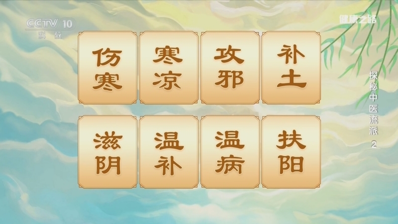 健康之路 《健康之路》 20260507 探秘中医流派 2