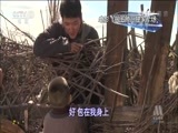 中国电影报道 《中国电影报道》 20150208