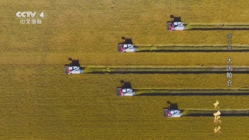 《大东北》 第5集 大国粮仓