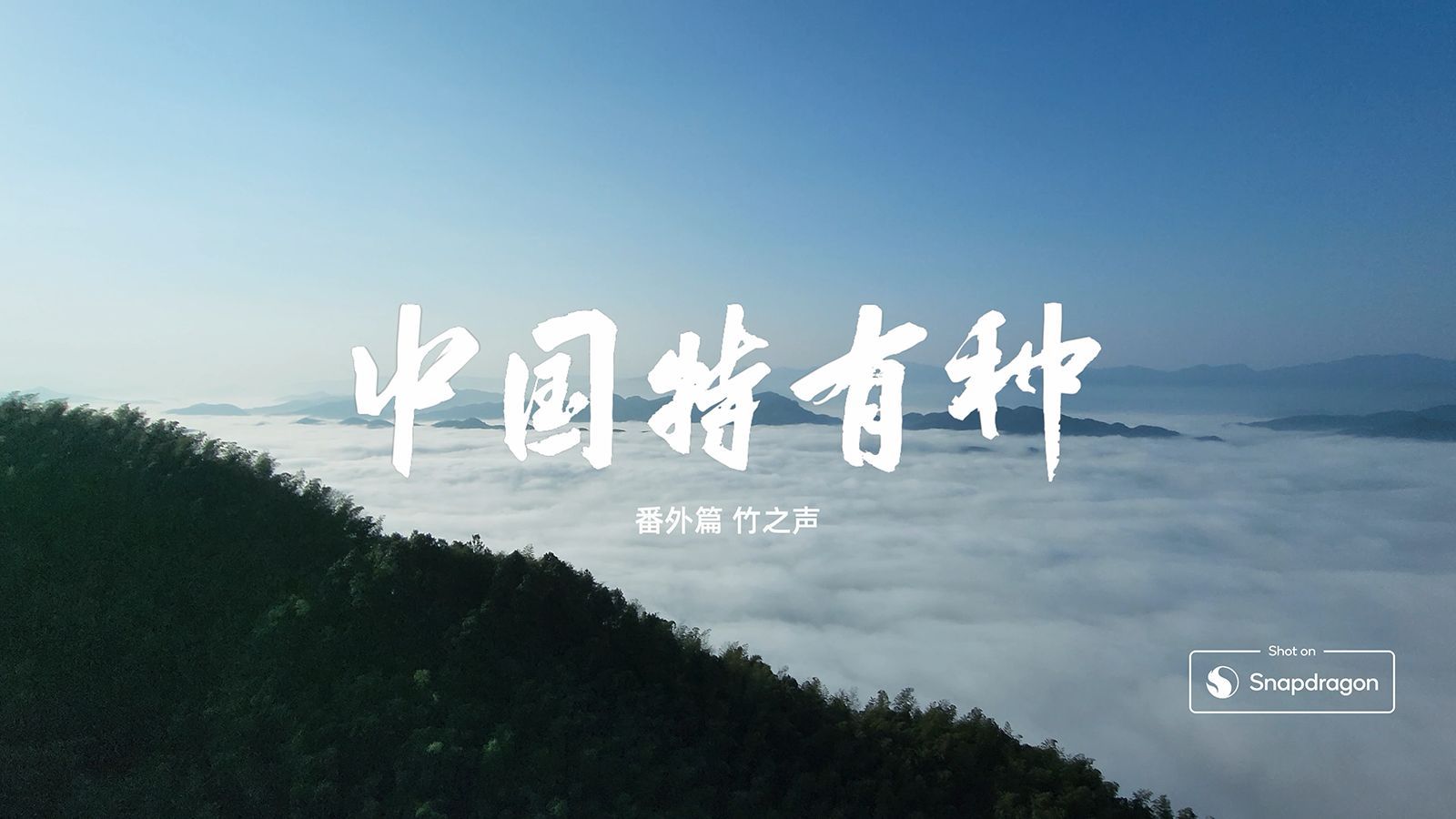 中国的自然之声