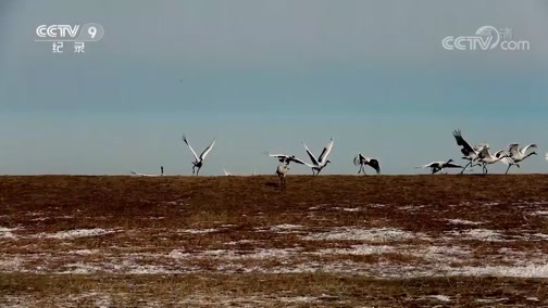 《特别呈现》 20181024 乘着绿皮车去旅行 第三集 嘉阳小火车